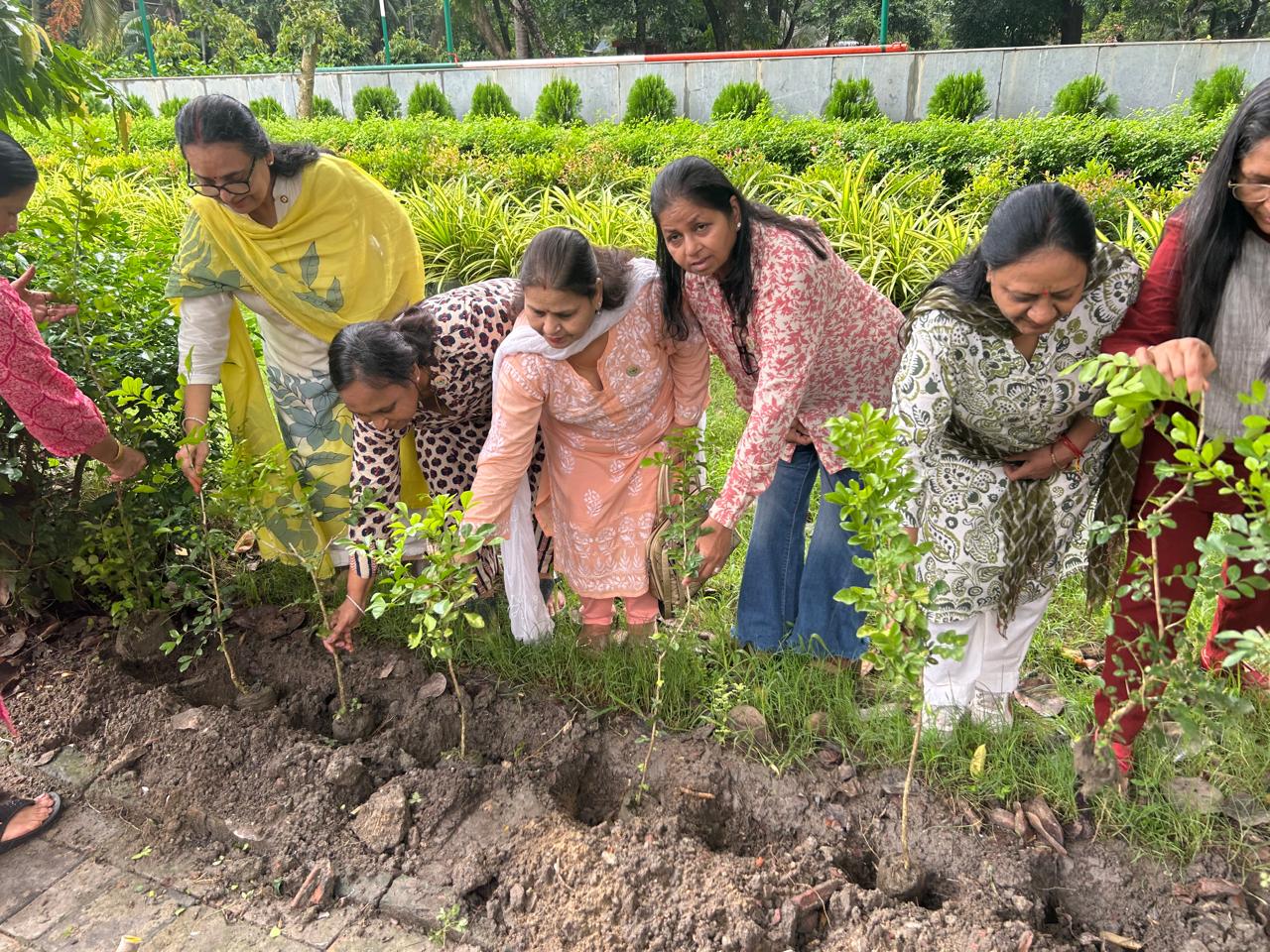 Tree Plantation highlight 2