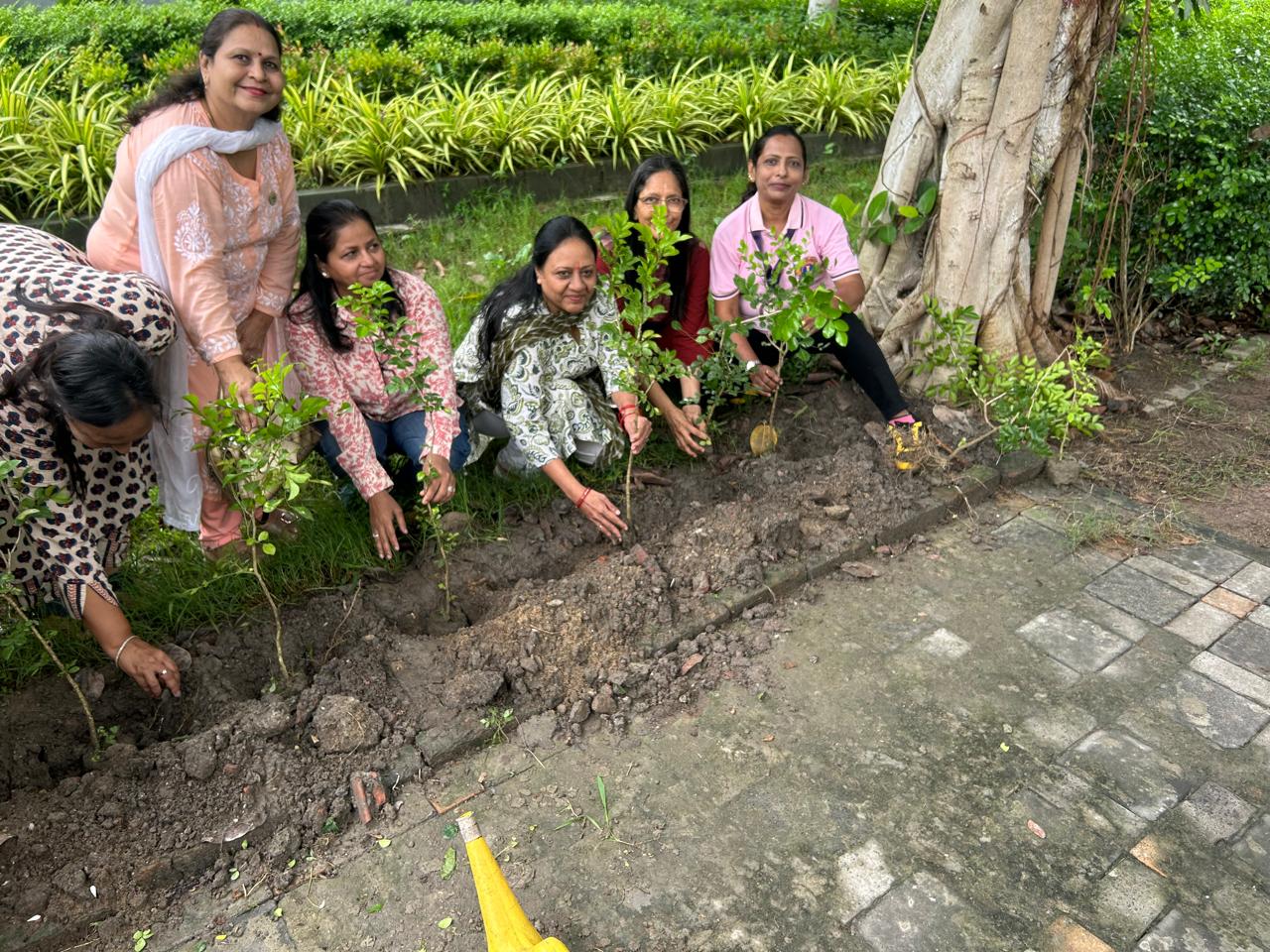 Tree Plantation highlight 3