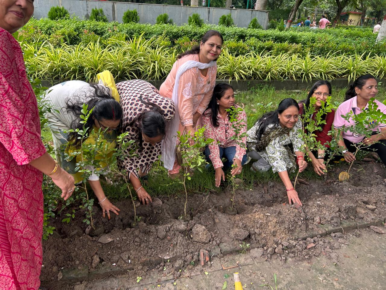 Tree Plantation highlight 4