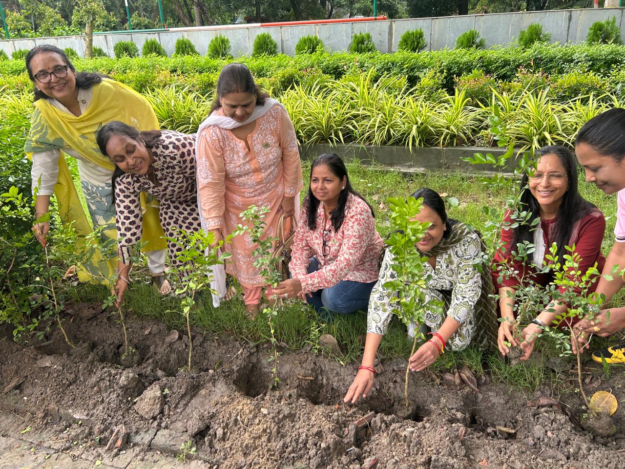 Tree Plantation highlight 5