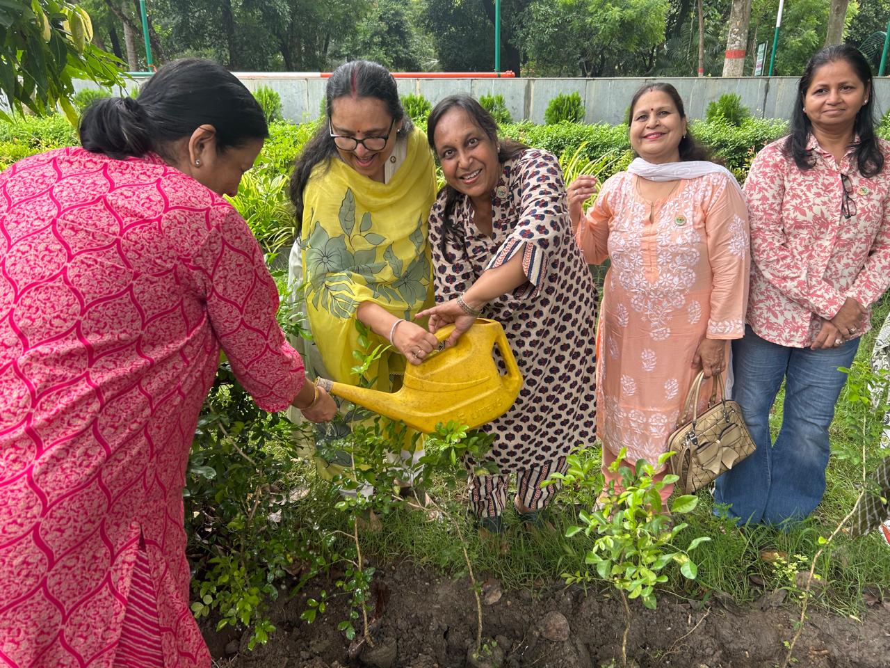 Tree Plantation highlight 6