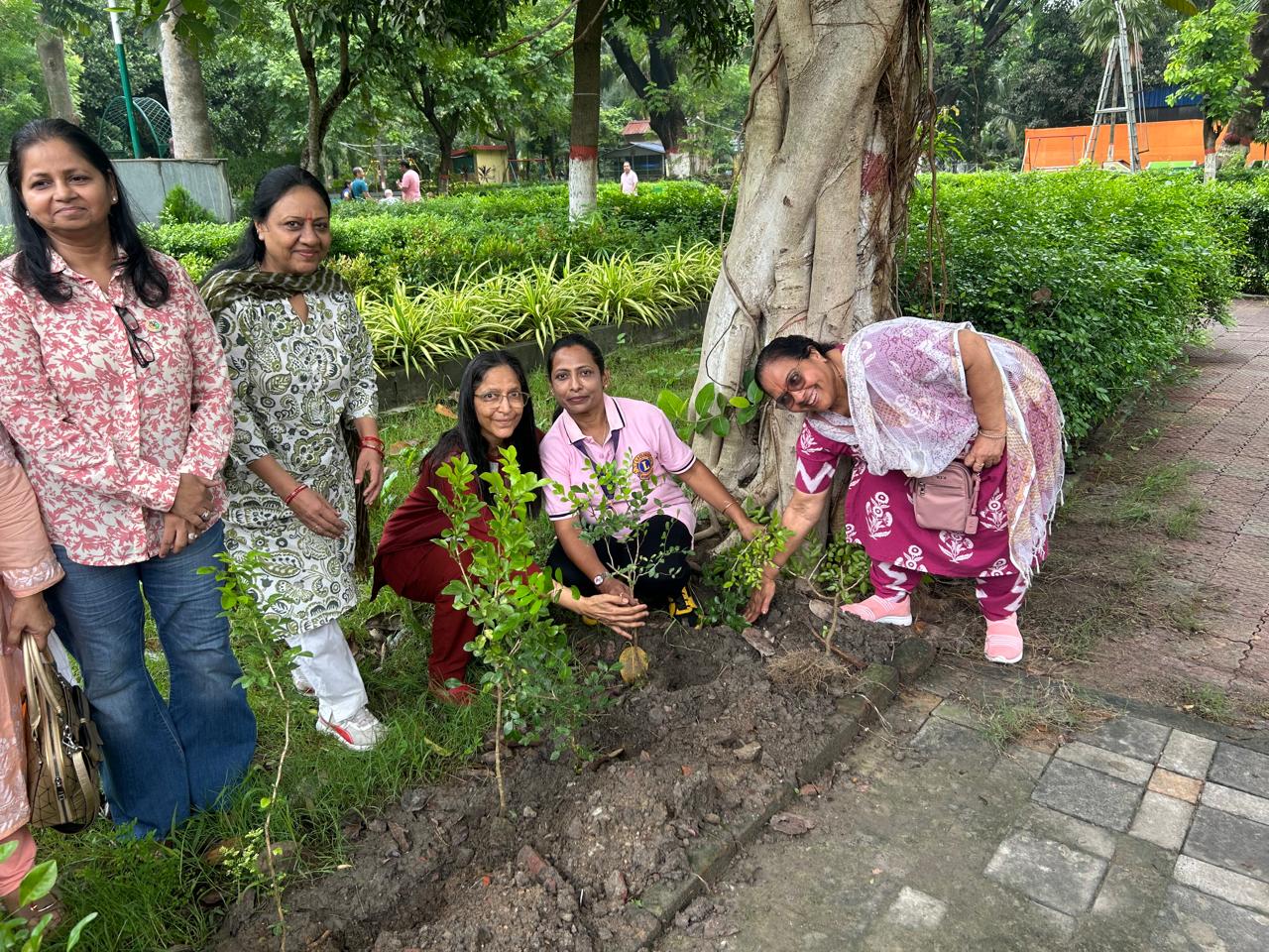 Tree Plantation highlight 7